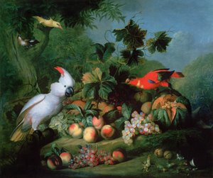 Fruits et oiseaux